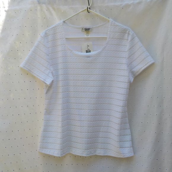 NWT White short sleeve Dress Top with partial sheer stripes SZ XL - Picture 5 of 16